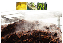 画像をギャラリービューアに読み込む, 有機ドリンクすっすっす 12本【有機JAS認定】【徳島県産有機ゆこう使用】【阪東食品】