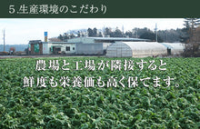 画像をギャラリービューアに読み込む, 青汁シークワーサー入り 100g×30袋セット 冷凍 国産ケール・完全無添加100%ジュース ベルファーム