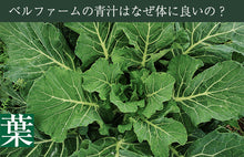 画像をギャラリービューアに読み込む, 青汁シークワーサー入り 100g×30袋セット 冷凍 国産ケール・完全無添加100%ジュース ベルファーム