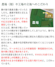 画像をギャラリービューアに読み込む, 青汁百 100g×30袋セット 冷凍 国産ケール・完全無添加100%ジュース 栽培期間農薬不使用 ベルファーム