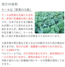 画像をギャラリービューアに読み込む, 青汁百 100g×30袋セット 冷凍 国産ケール・完全無添加100%ジュース 栽培期間農薬不使用 ベルファーム