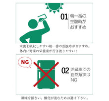 画像をギャラリービューアに読み込む, 国産 生搾り 100% メロンジュース (100g×15袋)×2セット 合計30袋 冷凍 採れたてすり搾り製法 完全無添加 ベルファーム