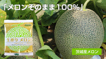画像をギャラリービューアに読み込む, 国産 生搾り 100% メロンジュース 100g×15袋セット 冷凍 採れたてすり搾り製法 完全無添加 ベルファーム