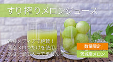 画像をギャラリービューアに読み込む, 国産 生搾り 100% メロンジュース 100g×15袋セット 冷凍 採れたてすり搾り製法 完全無添加 ベルファーム