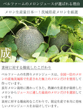 画像をギャラリービューアに読み込む, 国産 生搾り 100% メロンジュース (100g×15袋)×2セット 合計30袋 冷凍 採れたてすり搾り製法 完全無添加 ベルファーム