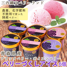 画像をギャラリービューアに読み込む, ベリーづくし アイスセット 4種6個セット【青森県産ブラックベリー・ボイズンベリー(無農薬、化学肥料不使用)】【三内縄文ベリーランド】