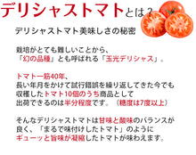 画像をギャラリービューアに読み込む, デリシャストマト丸しぼり使用 トマトシャーベット100g×10本セット【常温保存可】【玉光デリシャス】