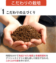 画像をギャラリービューアに読み込む, 極旬デリシャストマト(丸しぼり、露しずく)紅白トマトジュース 500g×2本セット【玉光デリシャス】【糖度10度以上】