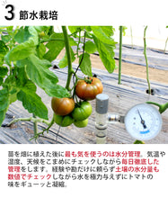 画像をギャラリービューアに読み込む, 極旬デリシャストマト(丸しぼり×2、露しずく×1)紅白トマトジュース 500g×3本セット【玉光デリシャス】【糖度10度以上】