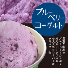 画像をギャラリービューアに読み込む, ふくち☆リッチジェラート 12種プレミアムセット 【無香料】【無着色】【福岡県福智町特産の素材使用】