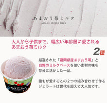 画像をギャラリービューアに読み込む, ふくち☆リッチジェラート ベーシック(カタラーナ、あまおう苺ミルク、あまおう苺シャーベット、いちじくの赤ワイン煮、黒豆きなこ、抹茶きなこ) 合計6個セット【無香料】【無着色】【福岡県福智町特産の素材使用】