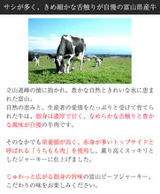 画像をギャラリービューアに読み込む, 富山ビーフジャーキー 5袋セット【希少な富山牛を使用】【HARRY CRANES-ハリークレインズ-】