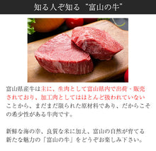 画像をギャラリービューアに読み込む, 富山ビーフジャーキー 5袋セット【希少な富山牛を使用】【HARRY CRANES-ハリークレインズ-】