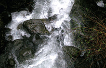 画像をギャラリービューアに読み込む, ほうじ茶ようかんとほうじ茶お詰め(ほうじ茶ようかん・ほうじ茶)【里作り氷砂糖仕立て】【八女茶(日本茶)】【ノンカフェイン】【奥八女 茶の葉堂】