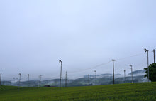 画像をギャラリービューアに読み込む, ほうじ茶ようかんとほうじ茶お詰め(ほうじ茶ようかん・ほうじ茶)【里作り氷砂糖仕立て】【八女茶(日本茶)】【ノンカフェイン】【奥八女 茶の葉堂】