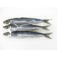 画像をギャラリービューアに読み込む, 一本釣りうるめいわしセット(1日干、炙りたたき、オイルサーディン、ぶっかけ漬け丼)(冷凍)【宇佐もん工房】