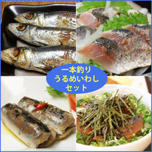 画像をギャラリービューアに読み込む, 一本釣りうるめいわしセット(1日干、炙りたたき、オイルサーディン、ぶっかけ漬け丼)(冷凍)【宇佐もん工房】