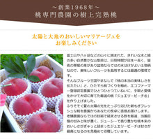 画像をギャラリービューアに読み込む, ジュエリーピーチ 農園の完熟ジュースセット 完熟ピーチネクター250ml×3本【やまなし内藤農園】