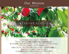 画像をギャラリービューアに読み込む, ジュエリーピーチ 農園の完熟ジュースセット 完熟ピーチネクター250ml×3本【やまなし内藤農園】