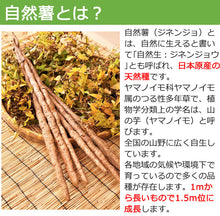 画像をギャラリービューアに読み込む, 自然薯 600g(30cm程度にカット・3~6本入り)+押し麦付【神奈川県産 自然薯】【自然薯家】【グルメ&ダイニングスタイルショー新商品コンテスト大賞受賞】【ディオスコリン含有】