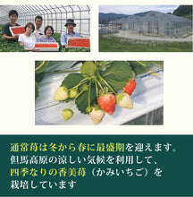 画像をギャラリービューアに読み込む, 香美苺のジェラート 12個セット(兵庫県但馬のイチゴを50%以上使用)【ユースランド】