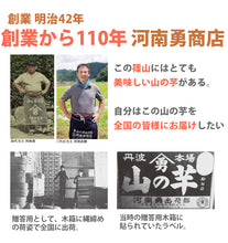 画像をギャラリービューアに読み込む, 丹波篠山産 山の芋 生とろろ・味とろろ詰め合わせ YU40(生とろろ60g×6、味とろろ60g×10)【山芋】【河南勇商店】