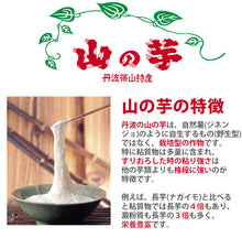 画像をギャラリービューアに読み込む, 丹波篠山産 山の芋 生とろろ・山の芋そば詰め合わせ TS-6(生とろろ60g×6・山の芋そば180g×6・そばつゆ6)【山芋】【河南勇商店】