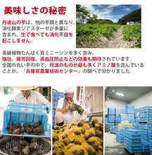 画像をギャラリービューアに読み込む, 丹波篠山産 山の芋 生とろろ・味とろろ詰め合わせ YU40(生とろろ60g×6、味とろろ60g×10)【山芋】【河南勇商店】