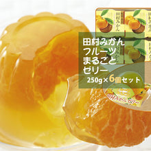 画像をギャラリービューアに読み込む, 田村みかんフルーツまるごとゼリーセット 250g×6個【小南農園】