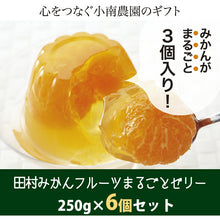 画像をギャラリービューアに読み込む, 田村みかんフルーツまるごとゼリーセット 250g×6個【小南農園】