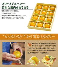画像をギャラリービューアに読み込む, 田村みかんフルーツまるごとゼリーセット 94g×12個【小南農園】