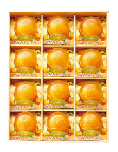 画像をギャラリービューアに読み込む, 田村みかんフルーツまるごとゼリーセット 94g×12個【小南農園】