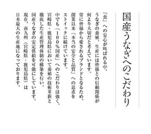 画像をギャラリービューアに読み込む, 九州産うなぎ蒲焼 長焼2尾ギフトセット【鰻楽】
