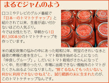 画像をギャラリービューアに読み込む, 明宝トマトケチャップ300g×3本セット【明宝レディース】