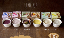 画像をギャラリービューアに読み込む, みんなのアイス 6種各2個 計12個セット(ブルーベリー・いちご・宇治抹茶・マンゴー・福井梅・ゆず)【アレルギー特定原材料7品目ゼロ】【脂肪分ゼロ】【福井県産サトイモ使用】