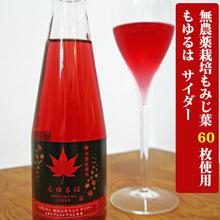 画像をギャラリービューアに読み込む, 無農薬栽培もみじ葉使用 もゆるはスパークリング サイダー 200ml 10本【60枚分もみじ葉】【アントシアニン含有】【株式会社もみじかえで研究所】