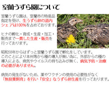 画像をギャラリービューアに読み込む, 室蘭うずらのプリン+うずらんかすていら キューブセット(プリン4個、かすていらキューブ4個)G-MA-17【室蘭うずら園】