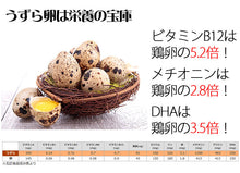 画像をギャラリービューアに読み込む, 室蘭うずらのプリン+うずらんかすていら キューブセット(プリン4個、かすていらキューブ4個)G-MA-17【室蘭うずら園】