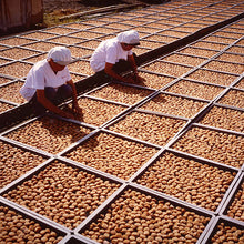 画像をギャラリービューアに読み込む, 紀州梅と梅ゼリーセット「奏果(そうか)」343(完熟南高梅ゼリー、梅の実入りゼリー、紀州うす塩梅「至宝」)【マルヤマ食品】【沖縄・離島への配送不可】