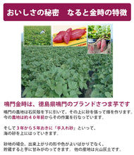 画像をギャラリービューアに読み込む, 鳴門いも入り 糀きんとき甘酒 200ml ×12【米麹の甘酒】【鳴門金時入り】【鳴門のいも屋】