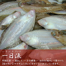 画像をギャラリービューアに読み込む, 日本海厳選地魚一夜干「一日漁」吉祥天(きっしょうてん) 甘鯛・のどぐろ・白いか(またはするめいか)・かれい 国産 島根産 無添加 岡富商店 -おかとみ- ギフト