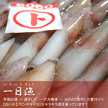 画像をギャラリービューアに読み込む, 日本海厳選地魚一夜干「一日漁」吉祥天(きっしょうてん) 甘鯛・のどぐろ・白いか(またはするめいか)・かれい 国産 島根産 無添加 岡富商店 -おかとみ- ギフト