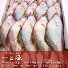 画像をギャラリービューアに読み込む, 日本海とれたて干物セット 大黒(だいこく) (島根県沖) のどぐろ・あじ・白かれい 国産 島根産 無添加 岡富商店 -おかとみ- ギフト
