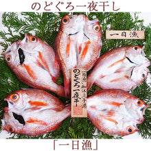 画像をギャラリービューアに読み込む, のどぐろ一夜干「一日漁」小 70~100g(5~6枚) 国産 島根産 無添加 岡富商店 -おかとみ- ギフト