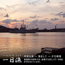 画像をギャラリービューアに読み込む, 特大穴子一夜干「一日漁」 あなご2尾(計500g) 国産 島根産 無添加 岡富商店 -おかとみ- ギフト