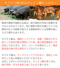 画像をギャラリービューアに読み込む, 自然づくり酒の肴セット(ポークジャーキー40g×2P・ジャンボソーセージ180g(2本入り)×1P・レバーケーゼ80g×1P)【無添加】【大成畜産】