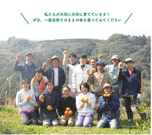 画像をギャラリービューアに読み込む, 佐藤さん家の有機みかん100%ストレートジュース1000ml×3本【有機JAS認定】【佐藤農園】