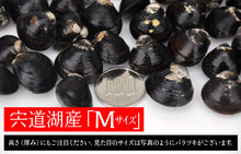 画像をギャラリービューアに読み込む, 宍道湖産 食べるしじみ味噌汁ギフトセット 10食入り【河村食材】