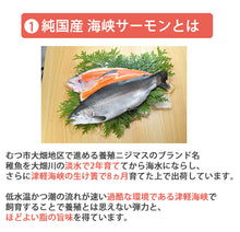 画像をギャラリービューアに読み込む, 海峡サーモン 特選切身セット10切セット(西京味噌漬、吟醸粕漬、塩麹漬、甘塩味、生切り身) 北彩屋 ギフト
