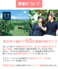 画像をギャラリービューアに読み込む, 水熟桃 清水白桃大玉 2個 ギフトセット【保存料、着色料不使用】【1年間保存が可能な新製法】【大賞受賞多数!】【果楽】